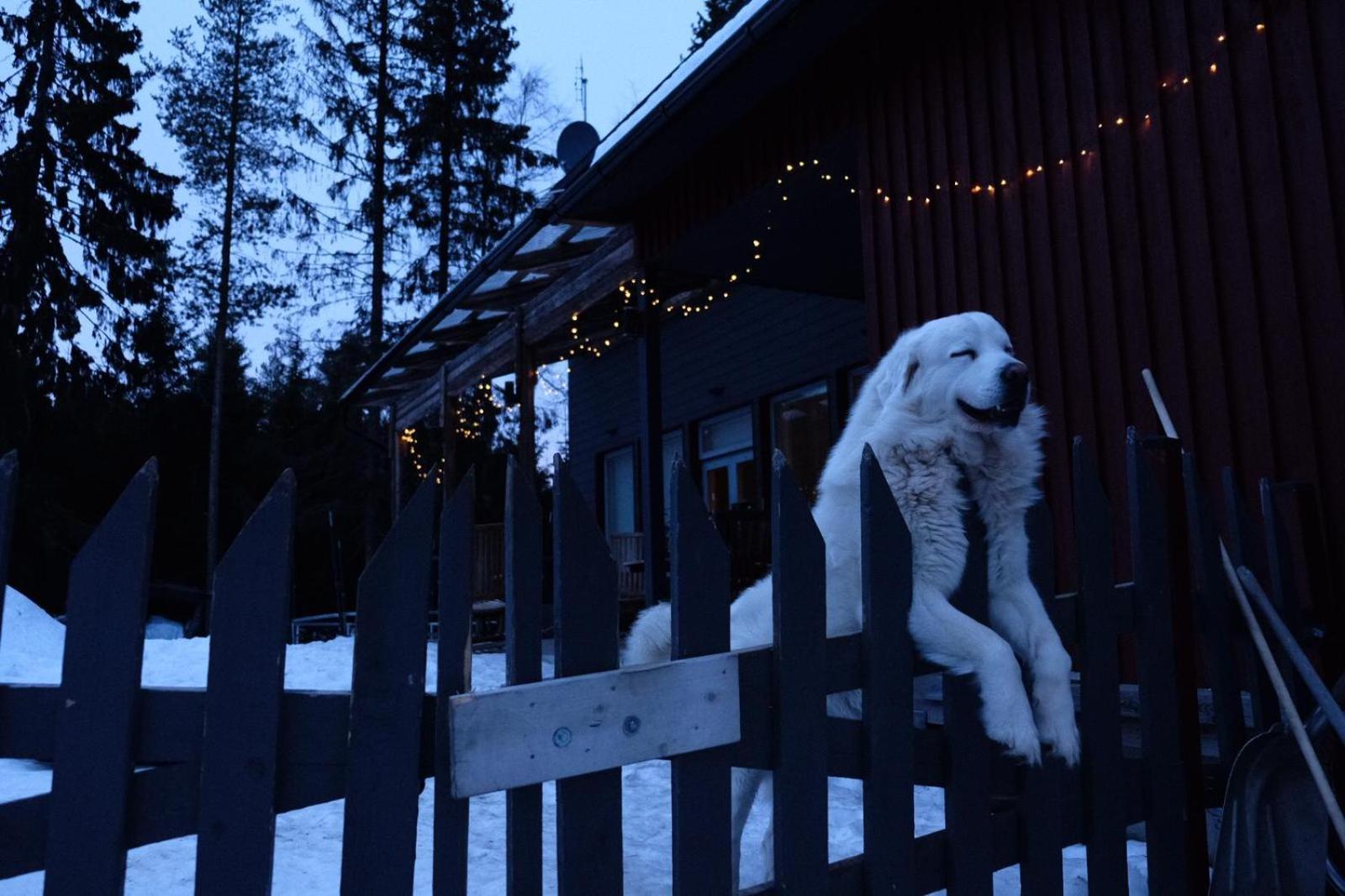 Laplandbike Apartment Arctic Circle Rovaniemi Eksteriør billede